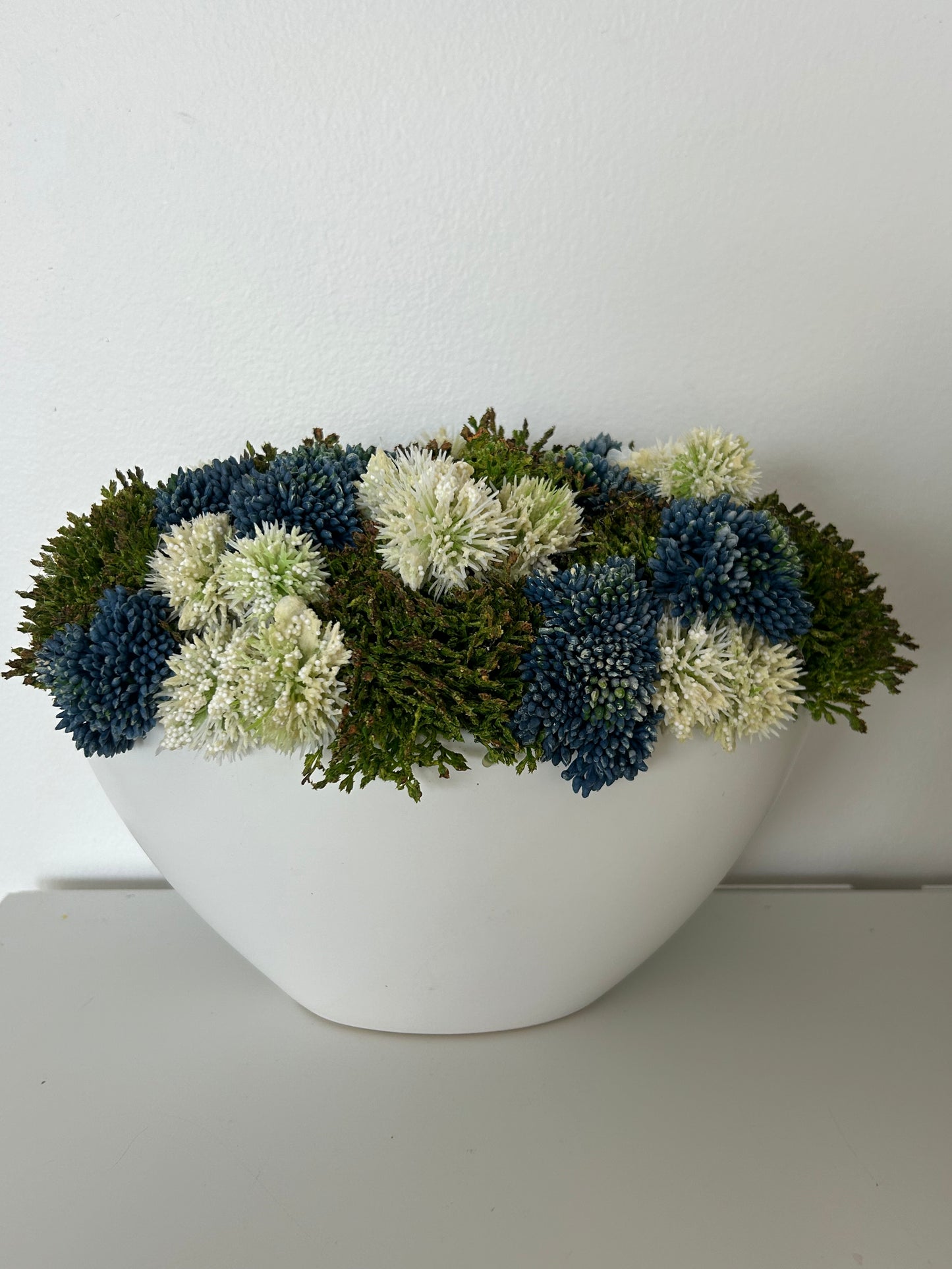 Sedum Blue Blossom