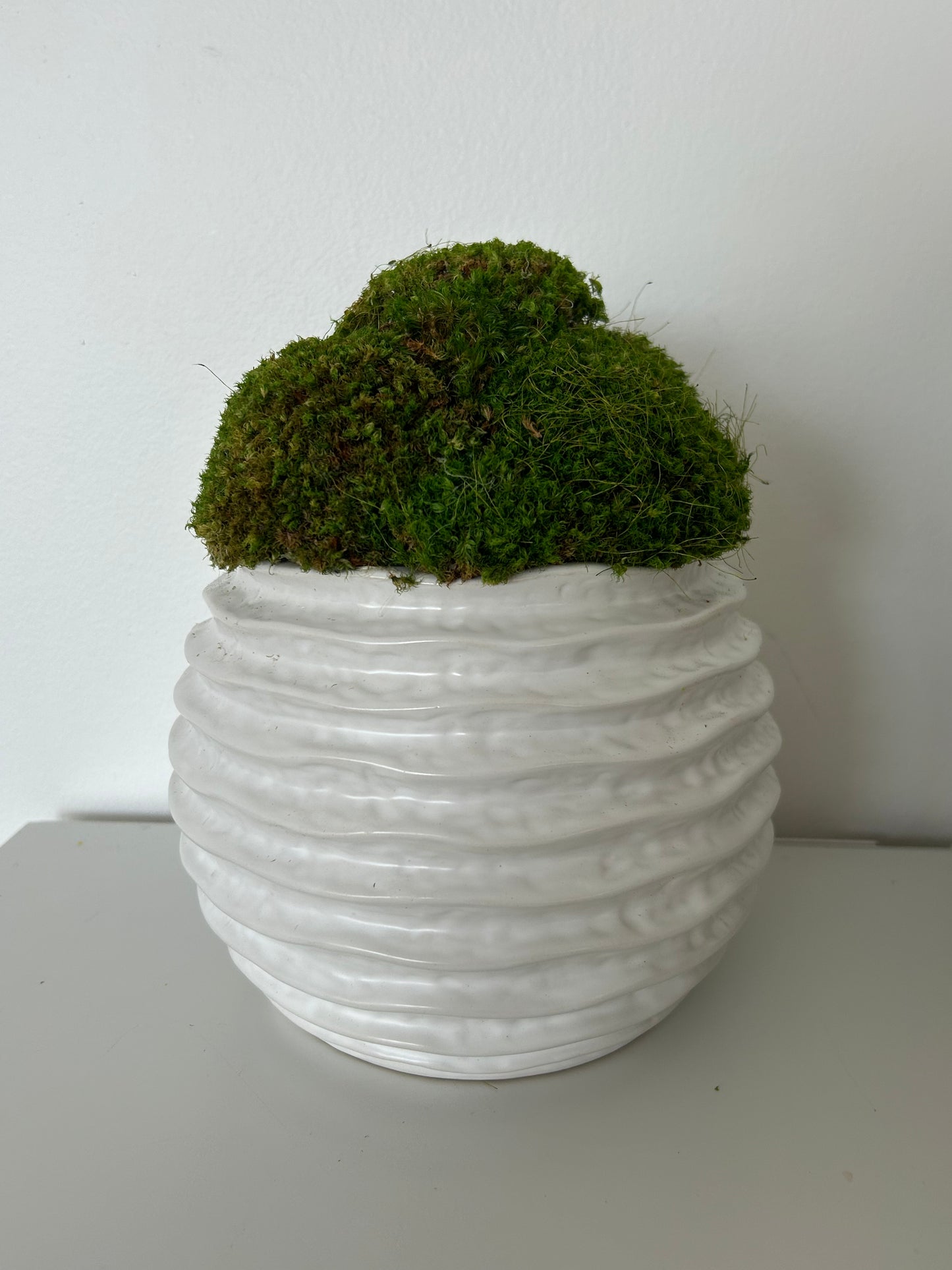 Wavy Moss