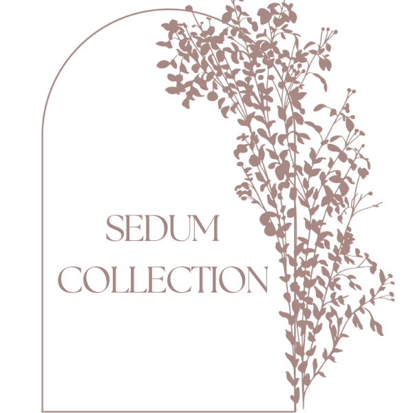 Sedum Collection