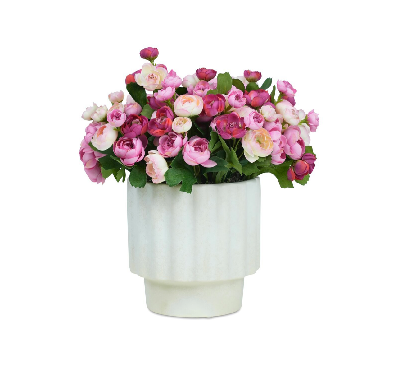 Pink Party Ranunculus