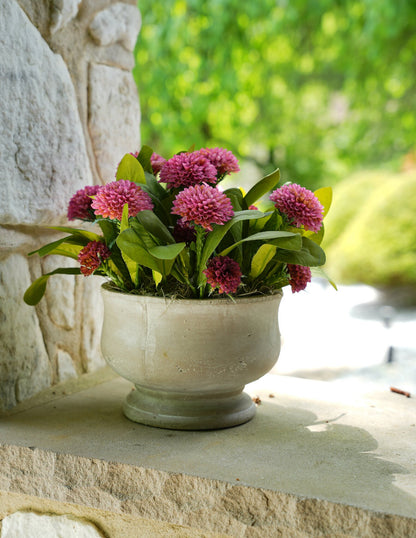 Magenta Planter