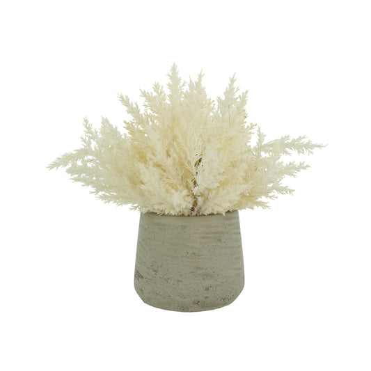 Taupe Tranquility Pampas